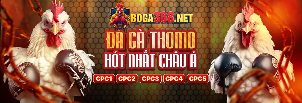 Blog gacam67 web với các bài viết chuyên sâu về cá cược trực tuyến