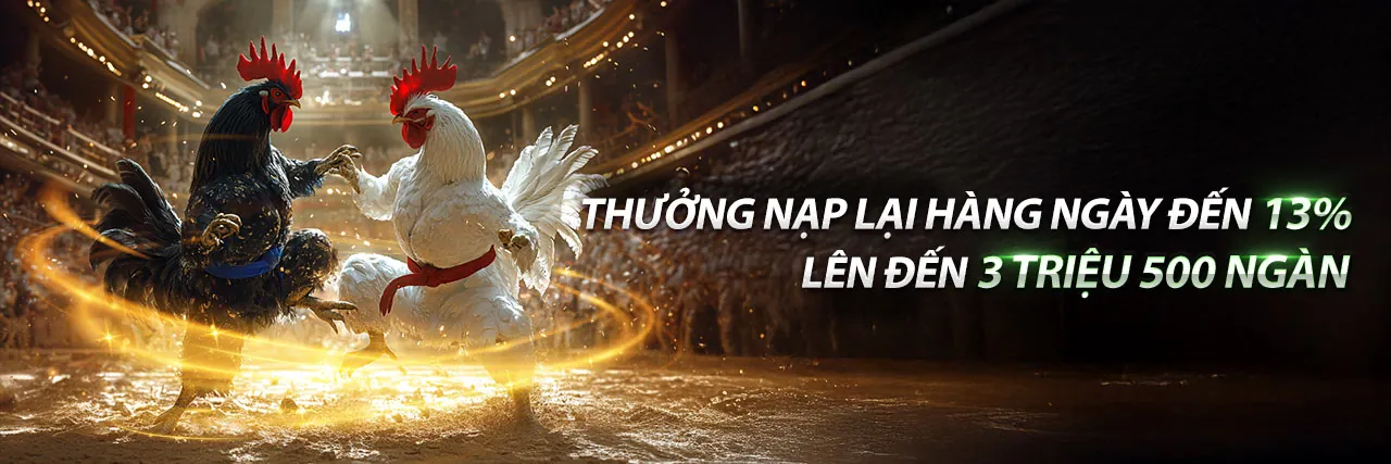 Hình ảnh chính về cá cược thể thao tại gacam67 web